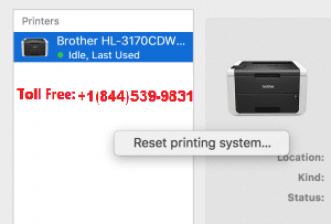 Reset Printing System on Mac